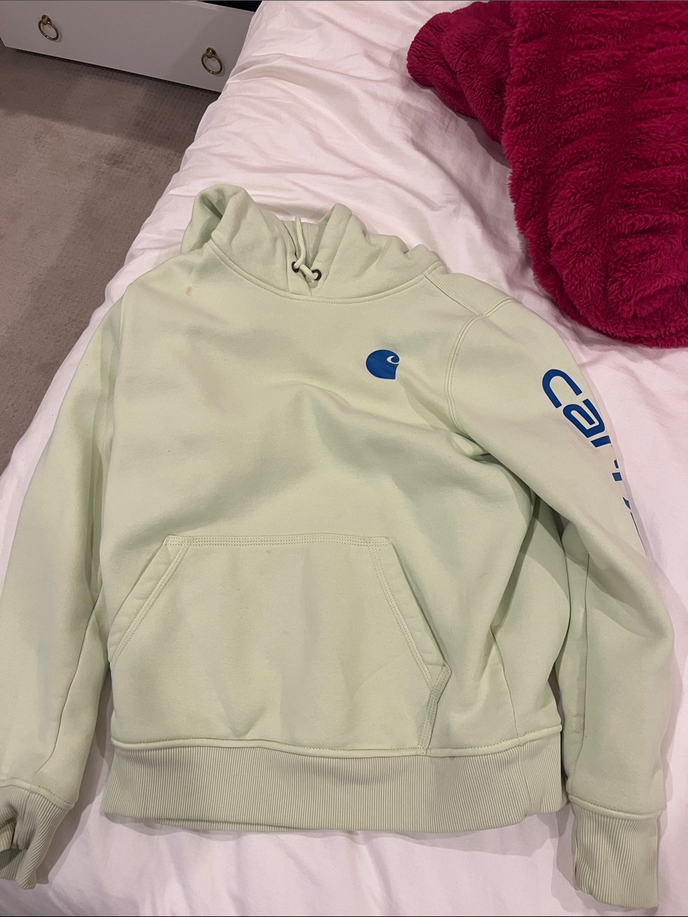 Carhartt Mint Green Crewneck Hoodie with Blue Logo